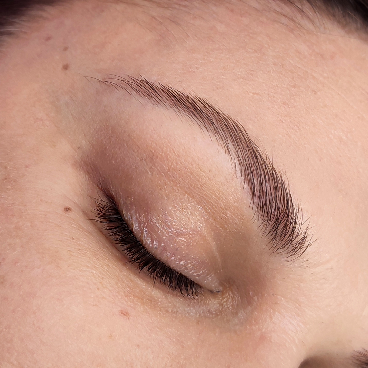 Laminacja Brwi Efkety 7