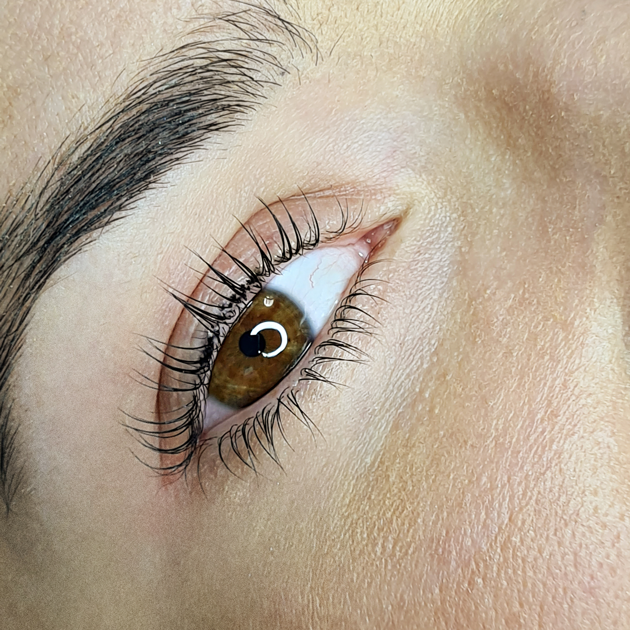 Laminacja Rzęs Efkety 4