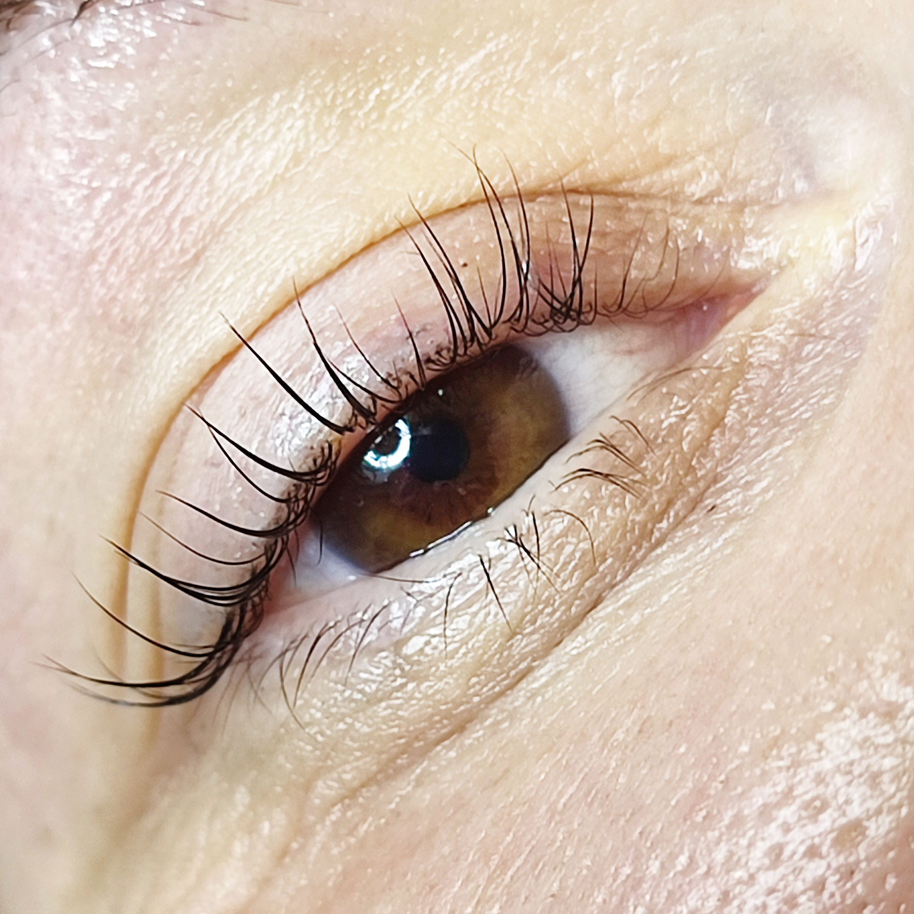 Litfing rzęs 03-2025 (1)